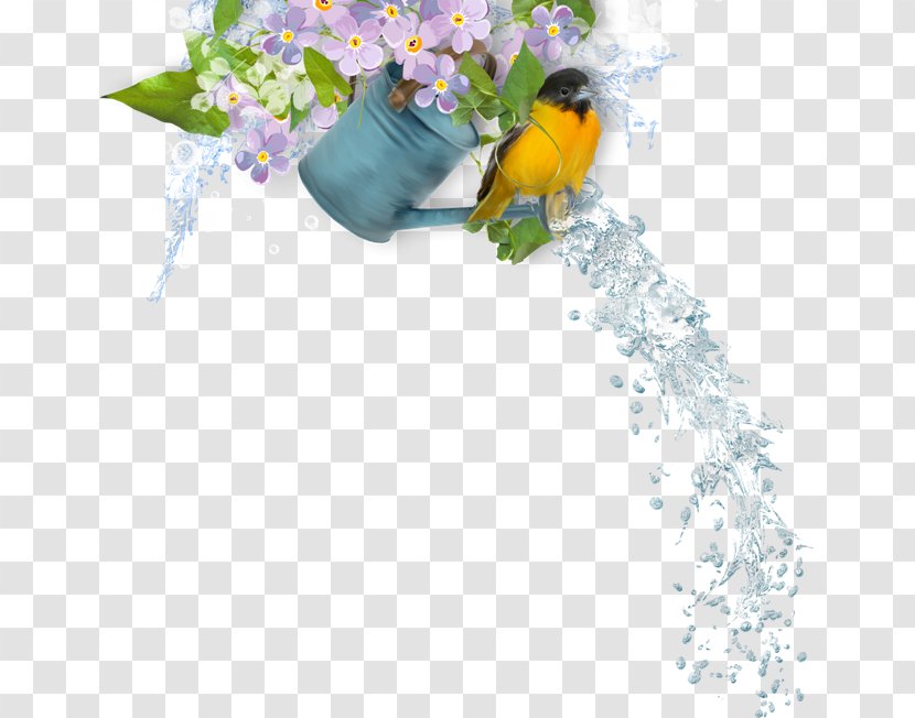 Floral Design Blog Clip Art - Song Transparent PNG