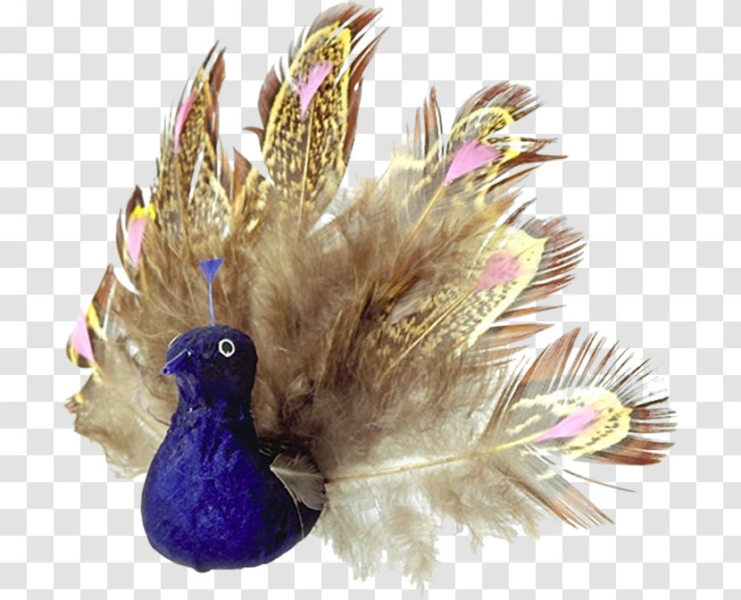 Pavo Feather Bird Clip Art Transparent PNG