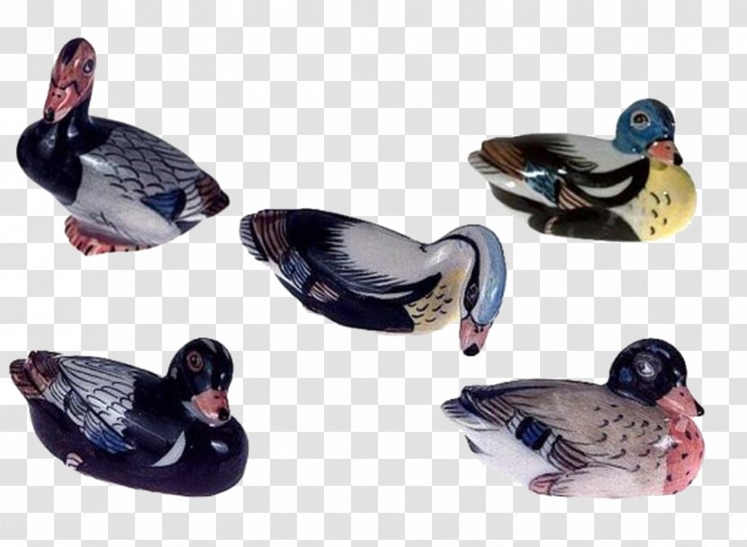 Duck Cygnini Porcelain Ceramic Drawing - Beak Transparent PNG