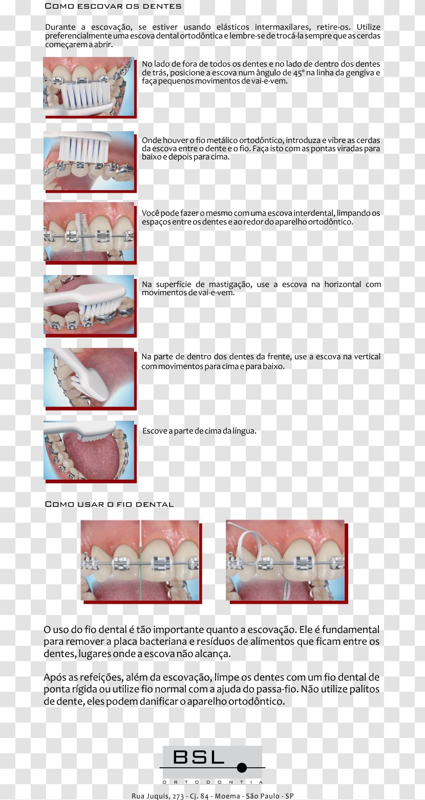 BSL Ortodontia Ltda Moema Paper Jaw Orthodontics - Odonto Transparent PNG