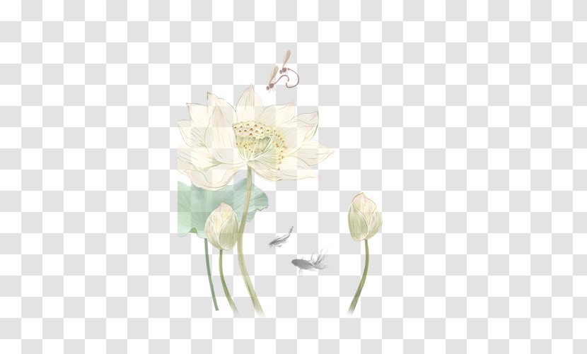 Quzhou Nelumbo Nucifera Art Knowledge Information - Cut Flowers - Dancing On Lotus Dragonfly Transparent PNG