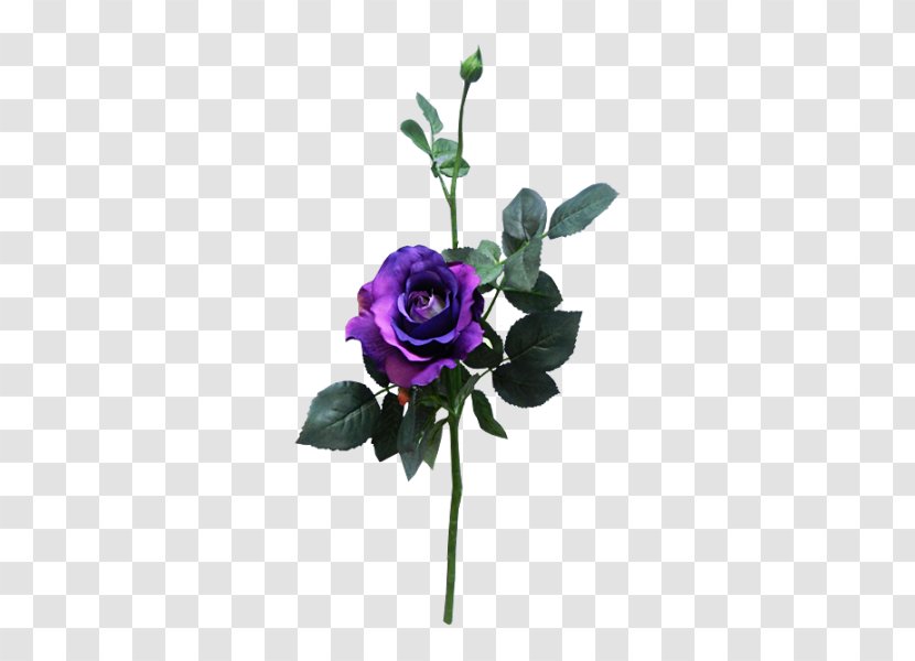 Rose Cut Flowers Purple Flower Bouquet Floral Design Transparent PNG