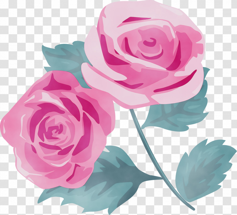 Garden Roses Transparent PNG