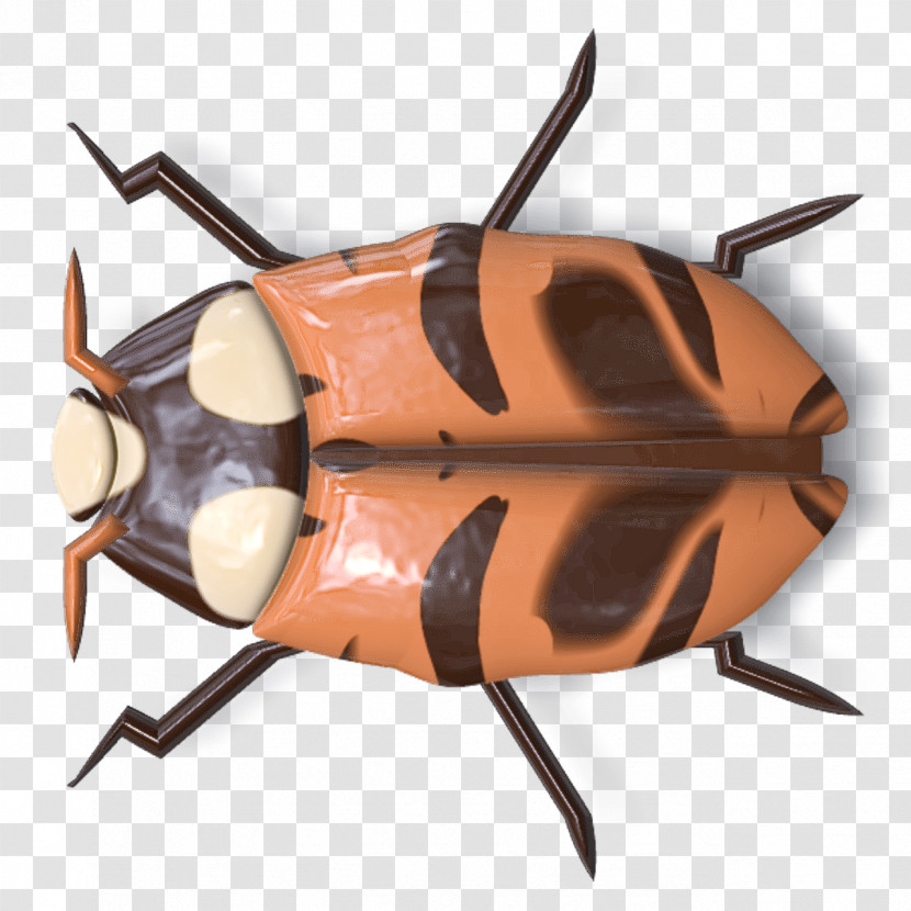 Insect Cockroach Transparent PNG