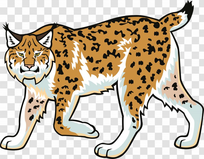 Eurasian Lynx Bobcat Wildcat Felidae Clip Art - Cheetah Transparent PNG