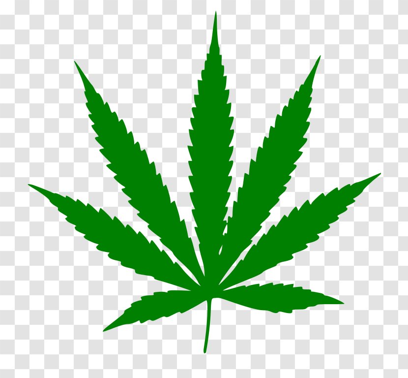 Cannabis Ruderalis Sativa Leaf Clip Art - Plant - Green Icon Transparent PNG