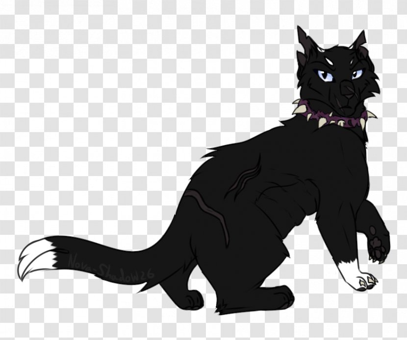 Whiskers Cat Dog Canidae Paw Transparent PNG