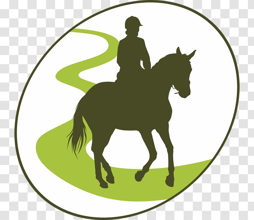 Horse Equestrian AutoCAD DXF Jockey - Tack - Riding Transparent PNG