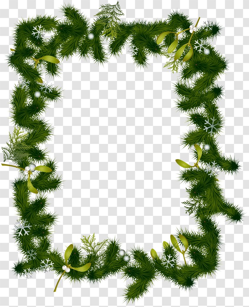 Christmas Tree White - Fir - American Larch Vascular Plant Transparent PNG