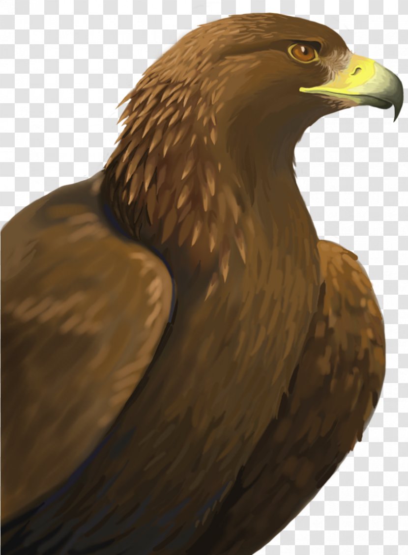 Golden Background - Freedom Eagle - Vulture Falconiformes Transparent PNG
