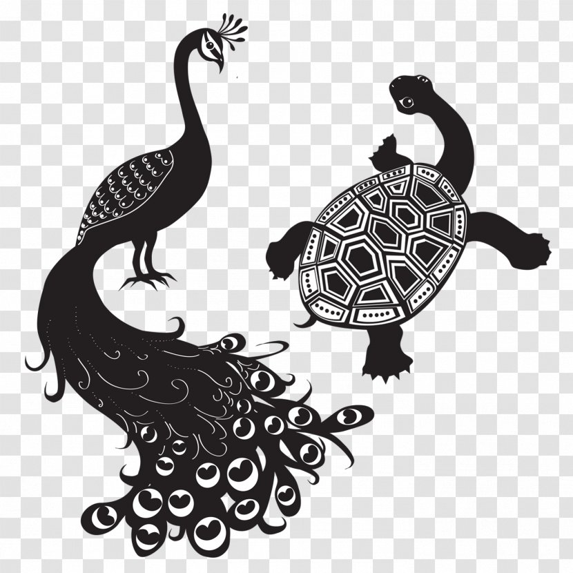 The Peacock And Tortoise Machine Quilting Sashiko Stitching - Bird - Peafowl Transparent PNG