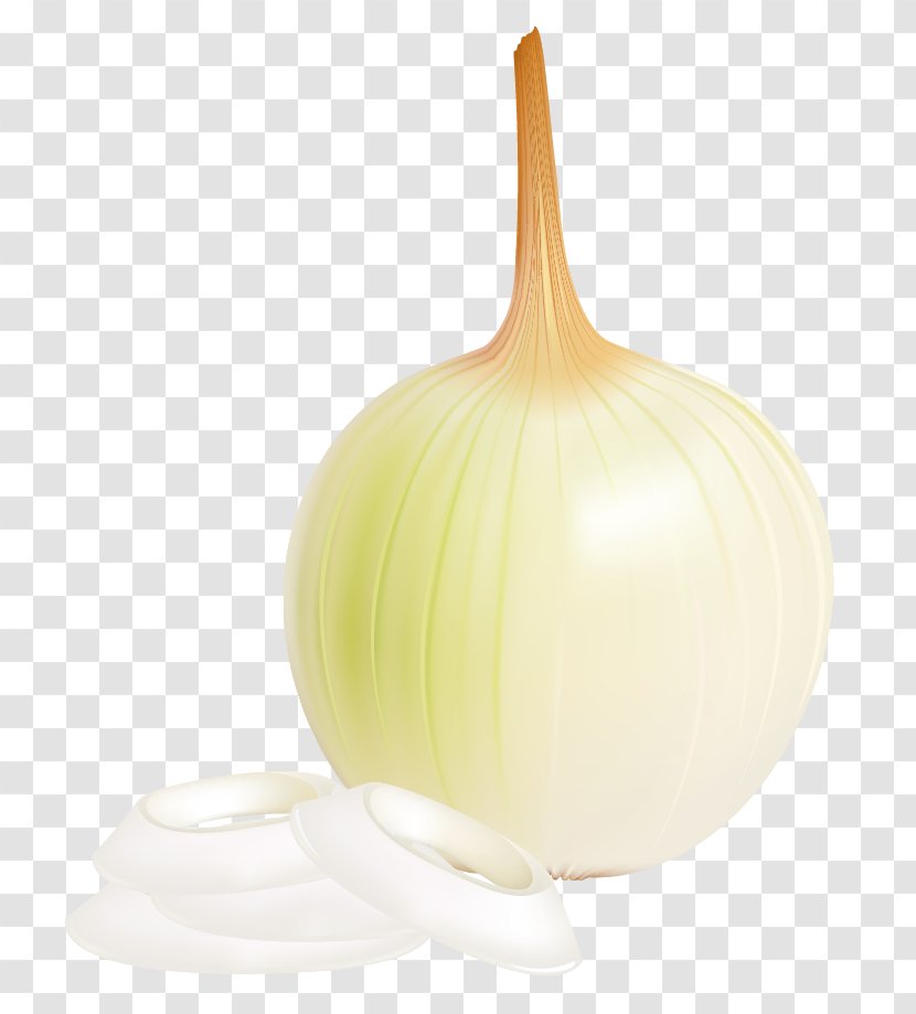 Onion Design Product - Picture Clipart Transparent PNG