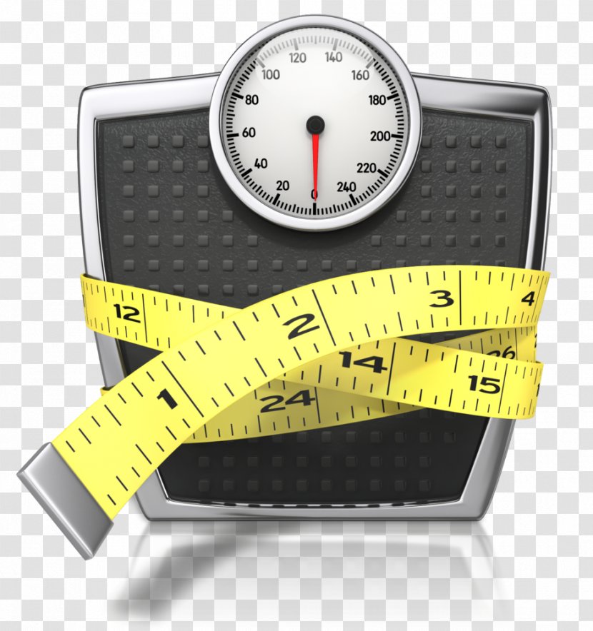 Measuring Scales Tape Measures Measurement Tool Clip Art - Scale Transparent PNG