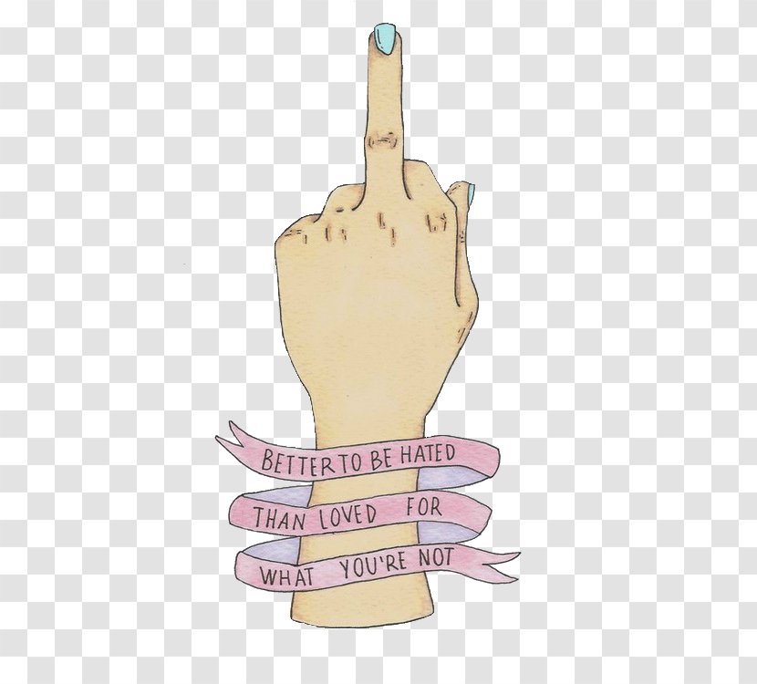 It Is Better To Be Hated For What You Are Than Loved Not. Hatred Middle Finger Love Triangle - Hate Transparent PNG