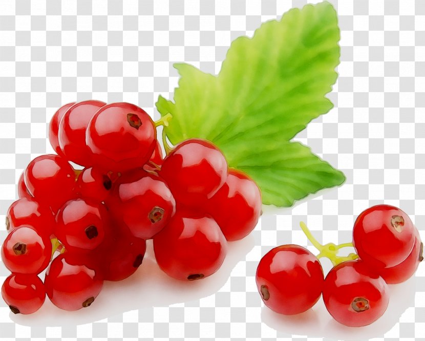Gooseberry Zante Currant Lingonberry Cranberry Raspberry - Stxea Nr Eur Transparent PNG