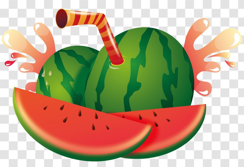 Watermelon Fruit Citrullus Lanatus Computer File - Auglis - Creative Vector Transparent PNG