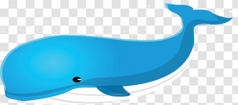 Dolphin Porpoise Marine Biology - Whale Transparent PNG