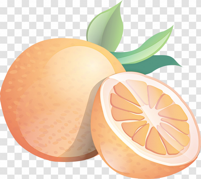 Orange Transparent PNG