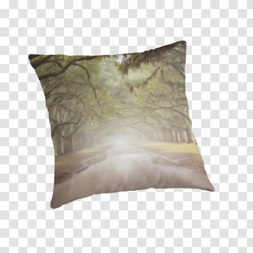 Throw Pillows Cushion - Pillow - Brown Transparent PNG