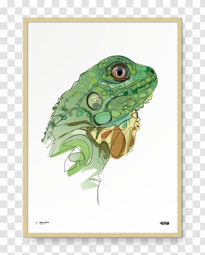 Green Iguana Tea Fauna Poster - Danish Krone Transparent PNG