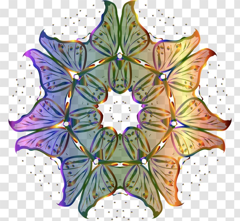 Floral Design Flower Symmetry - Organism Transparent PNG