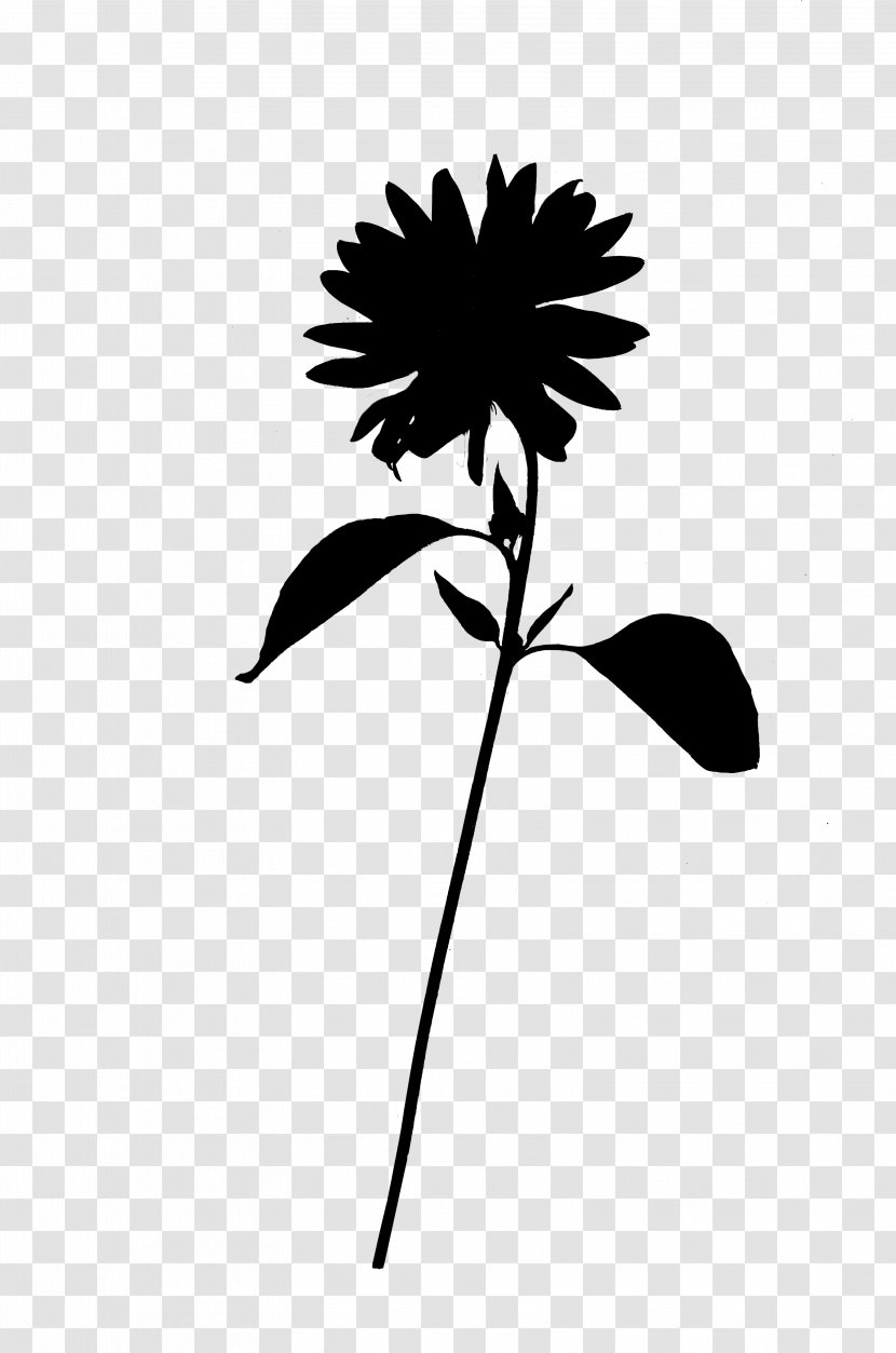 Leaf Plant Stem Arecales Line Silhouette - Pedicel - Wildflower Transparent PNG
