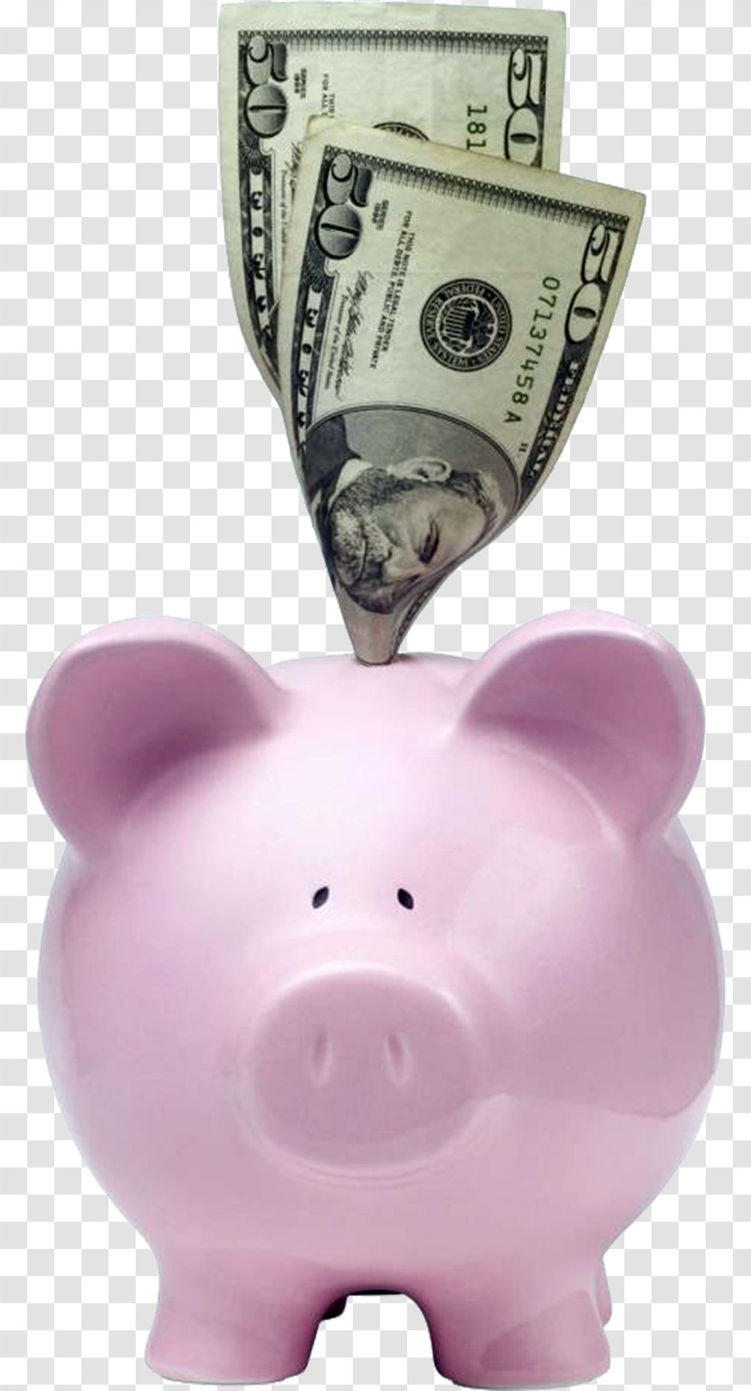 Piggy Bank Savings Account Money - Snout Transparent PNG