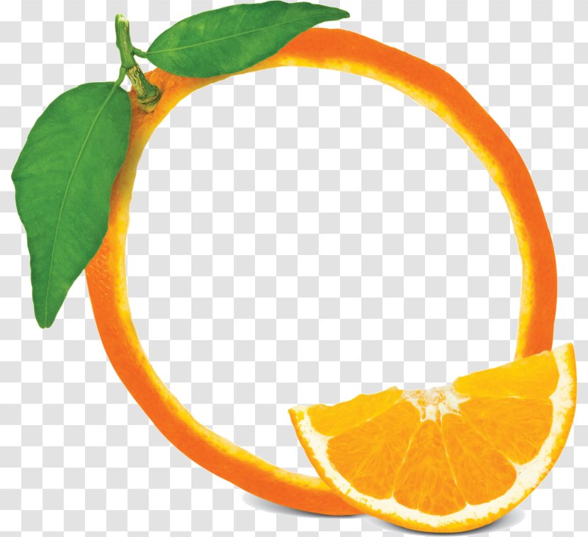 Cartoon Lemon - Orange - Clementine Transparent PNG