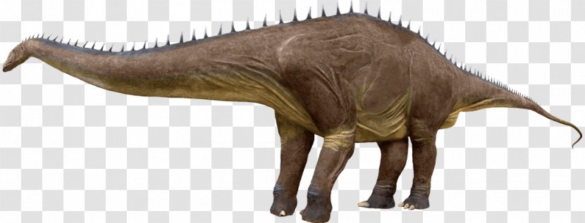 Tyrannosaurus Argentinosaurus Moab Giants Giganotosaurus Brachiosaurus - Apatosaurus - Dinosaur Transparent PNG