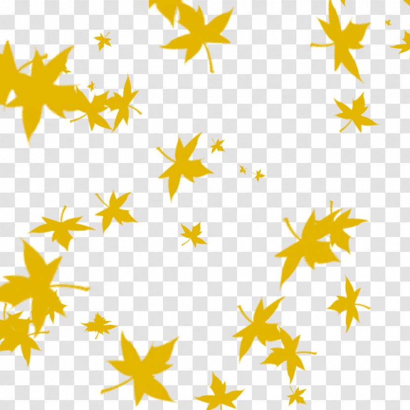 Maple Leaf Autumn - Tree - Falling Leaves Transparent PNG