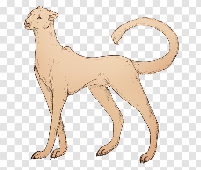 Dog Breed Cat Line Art Tail - Heart Transparent PNG