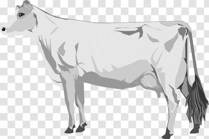 Cattle Lumpy Skin Disease - Line Art - Cow Transparent PNG