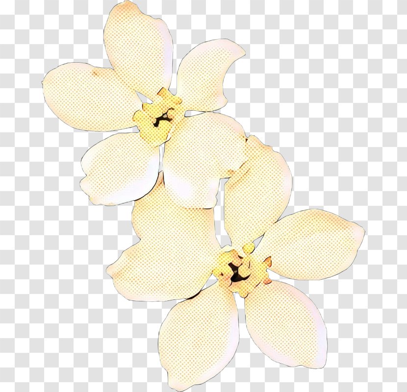Cut Flowers Hair Tie Moth Orchids Petal Transparent PNG
