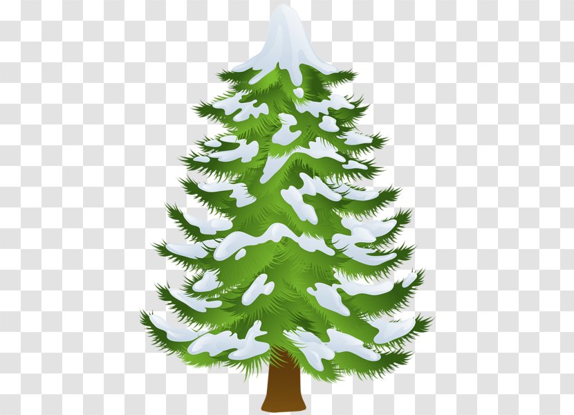 Pine Tree Winter Fir Clip Art - Evergreen - Trees Cliparts Transparent PNG