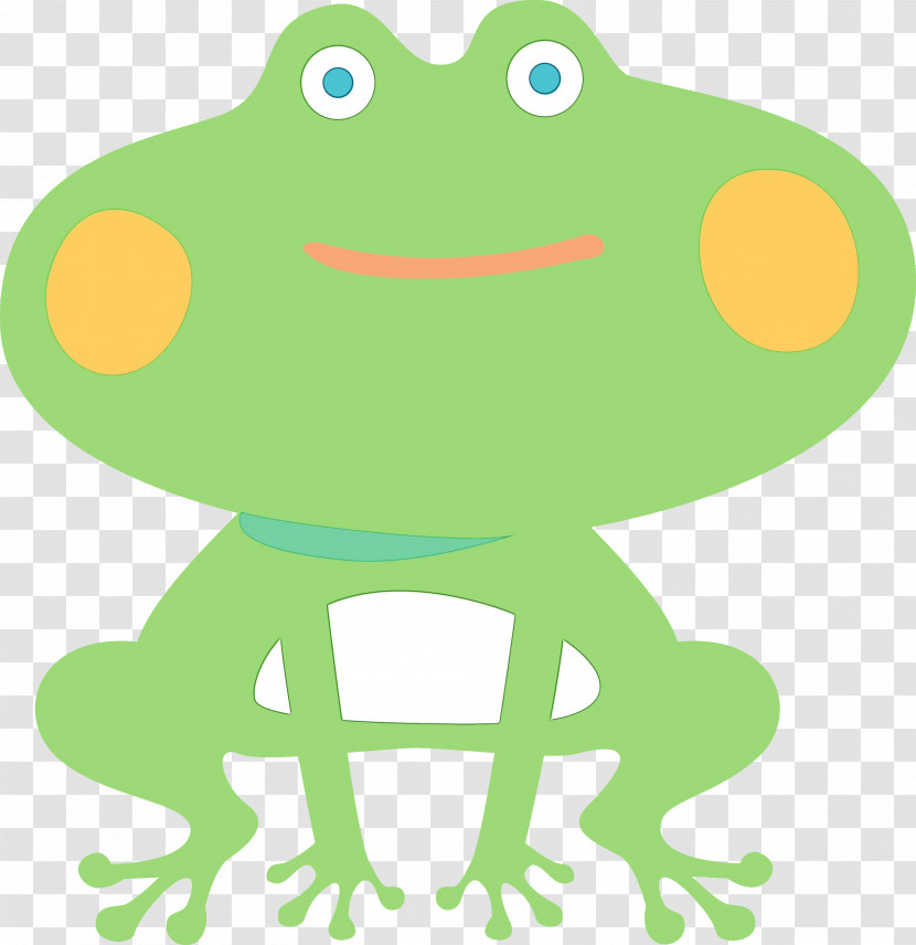 True Frog Frogs Toad Tree Frog Cartoon Transparent PNG