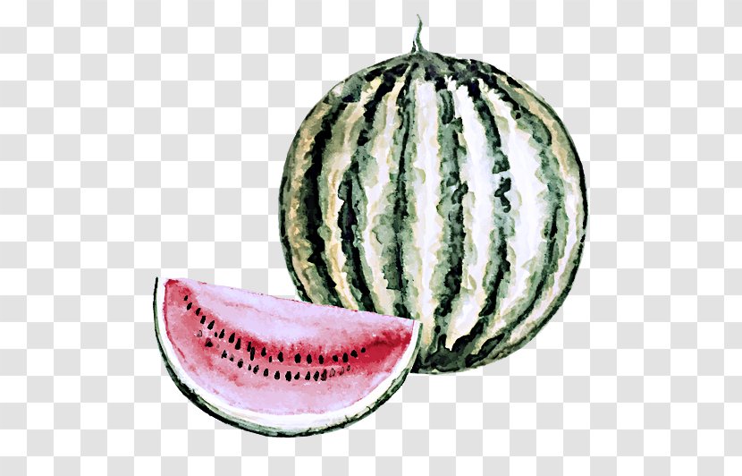 Watermelon - Cucumis Vegetable Transparent PNG