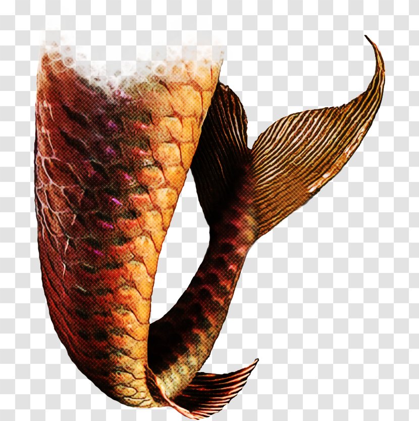 Indian Cobra Nepenthes Transparent PNG