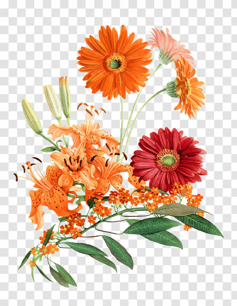Cut Flowers Floral Design Floristry Plant - Orange - Botanical Transparent PNG