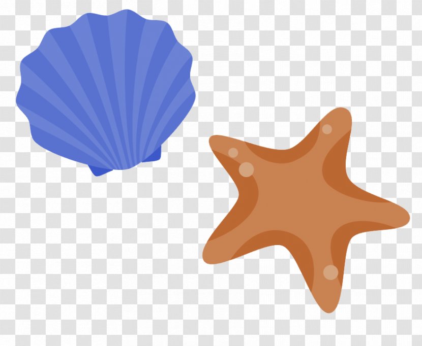 Flag Of Rhode Island Cigar - Seashell - Blue Simple Starfish Shell Decoration Pattern Transparent PNG