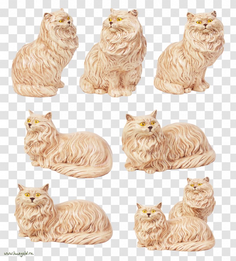Tabby Cat Kitten Whiskers Clip Art Transparent PNG