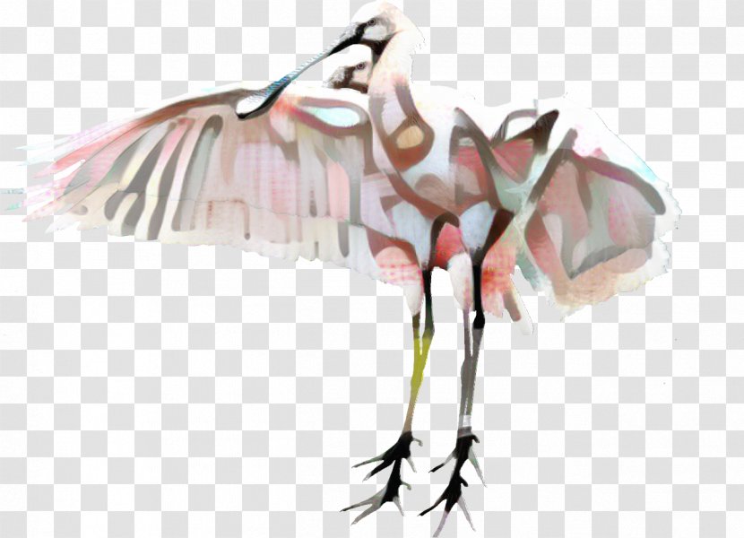 Pink Flamingo - Crane - Wing Stork Transparent PNG
