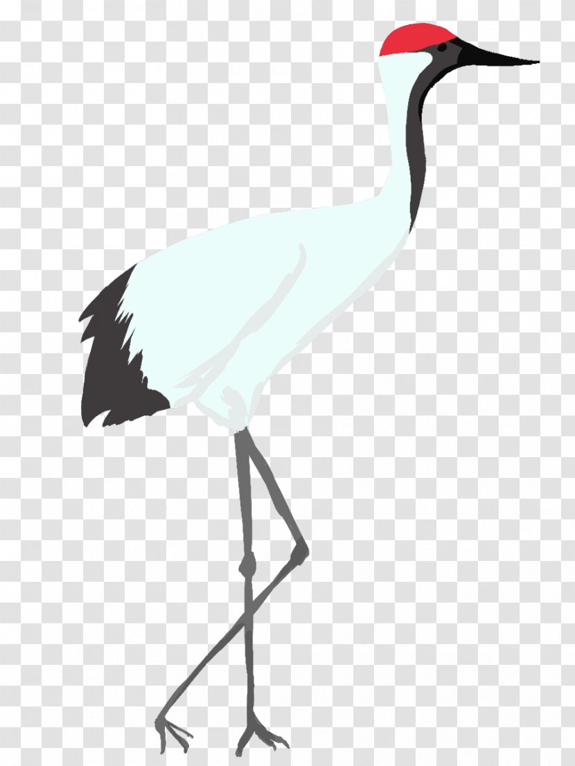 White Stork Crane Water Bird - Animal Transparent PNG