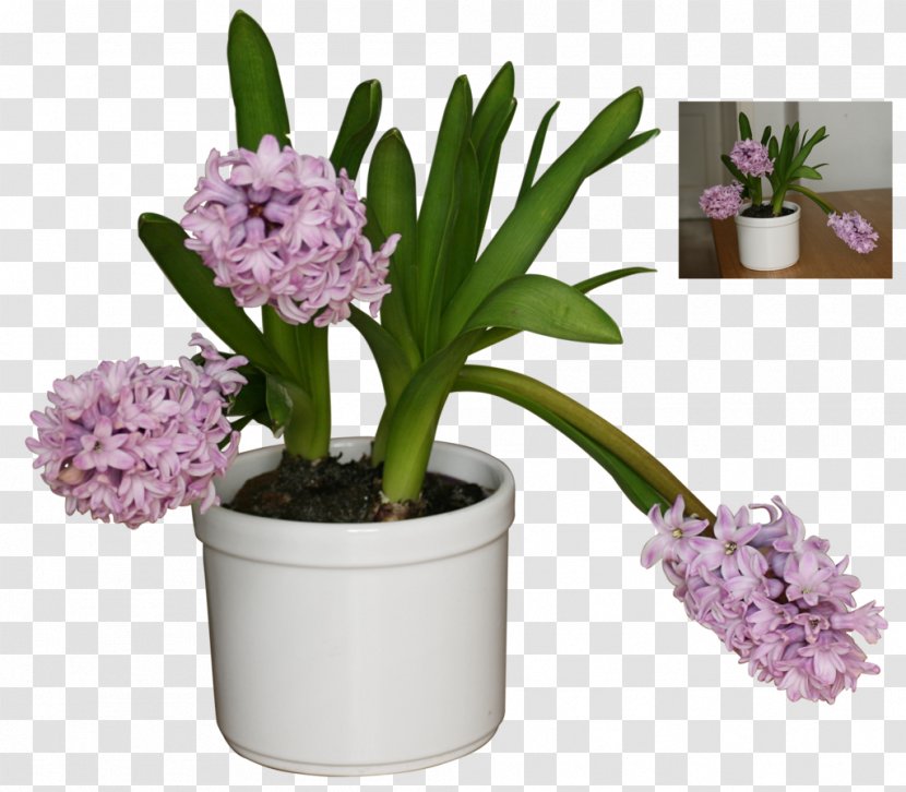 Flowerpot DeviantArt Floral Design - Lilac - Pot Plant Transparent PNG