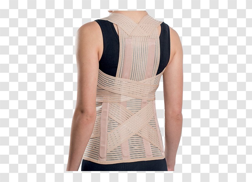 Corset T-shirt Orthotics Human Back Vertebral Column - Flower Transparent PNG