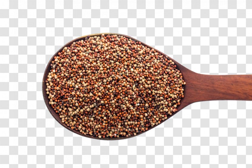 Finger Millet Organic Food Proso - Foxtail Transparent PNG