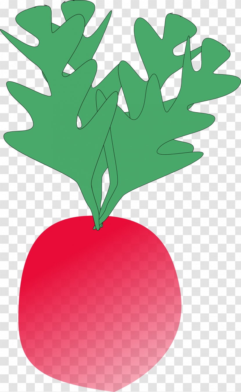 Radish Turnip Clip Art - Salad - Slice Transparent PNG