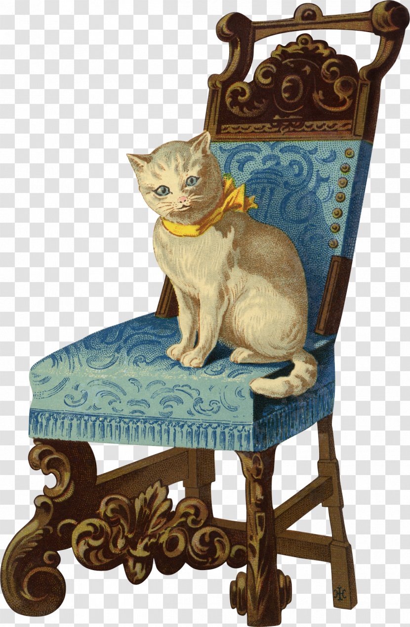 cat drawing chair clip art furniture