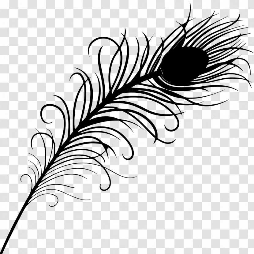 Feather Drawing Peacock Feathers - Blackandwhite - Quill Transparent PNG