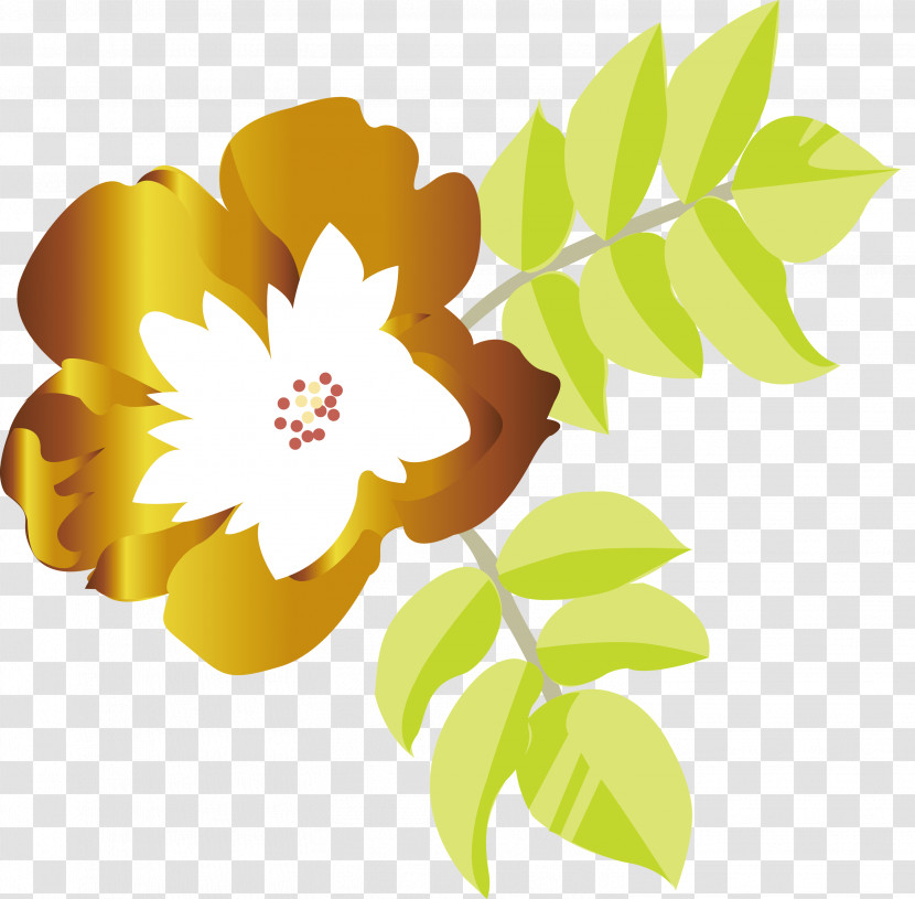 Flower Petal Leaf Plant Yellow Transparent PNG