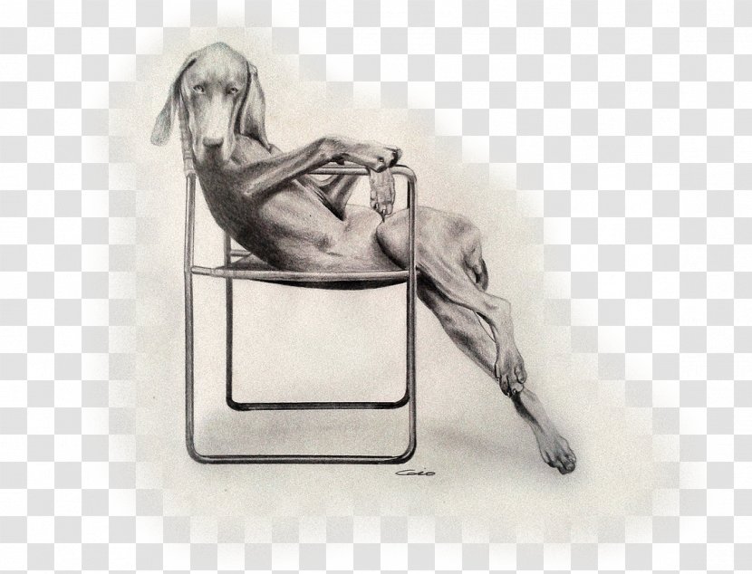 Figure Drawing Chair Sketch - Black And White - Studio Flyer Transparent PNG